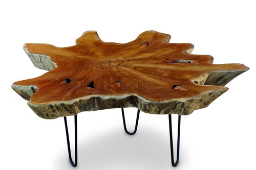 Couchtisch teak wurzelholz - couchtisch,